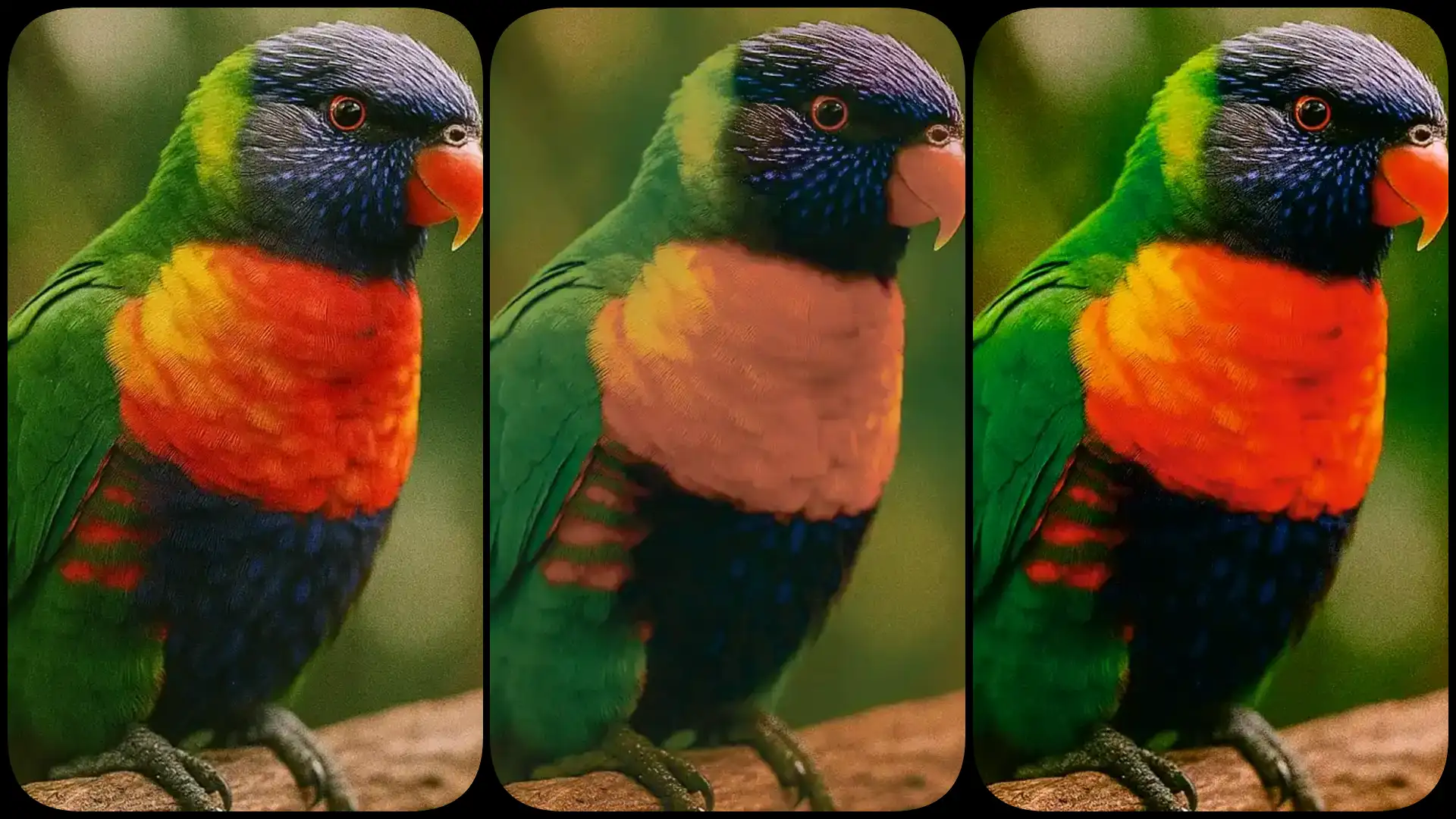How to Convert RGB to CMYK Without Losing Color