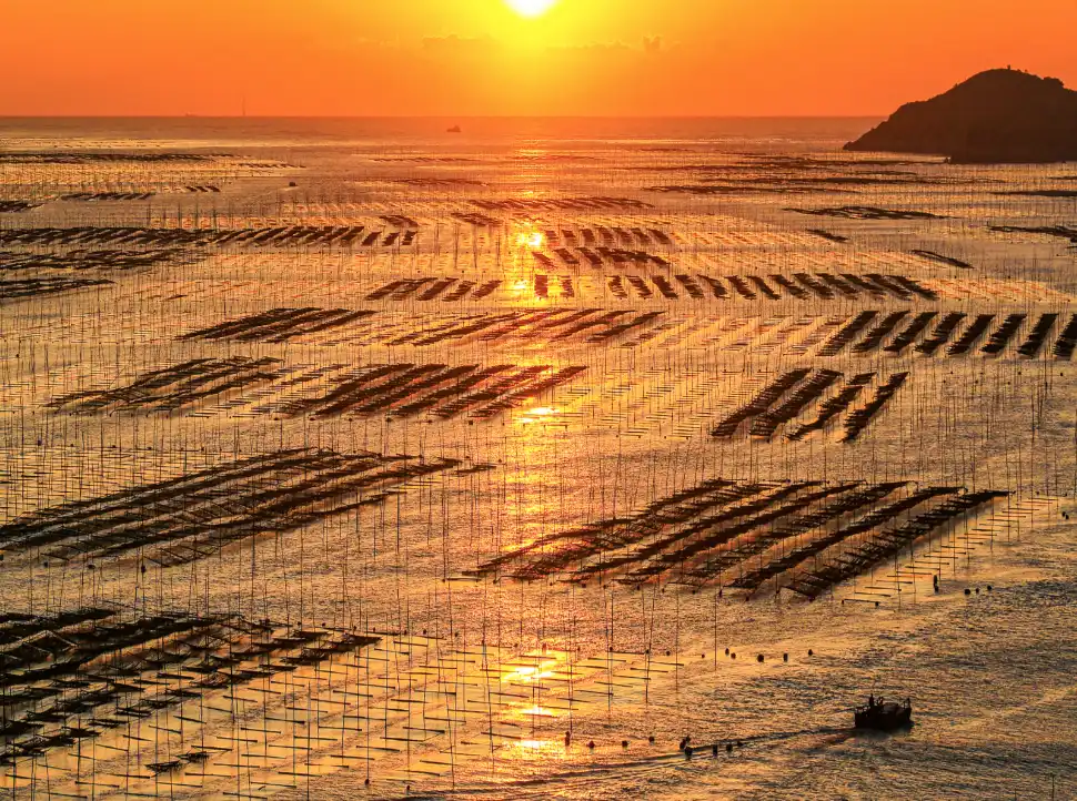 Why Your Print Colors Look Dull